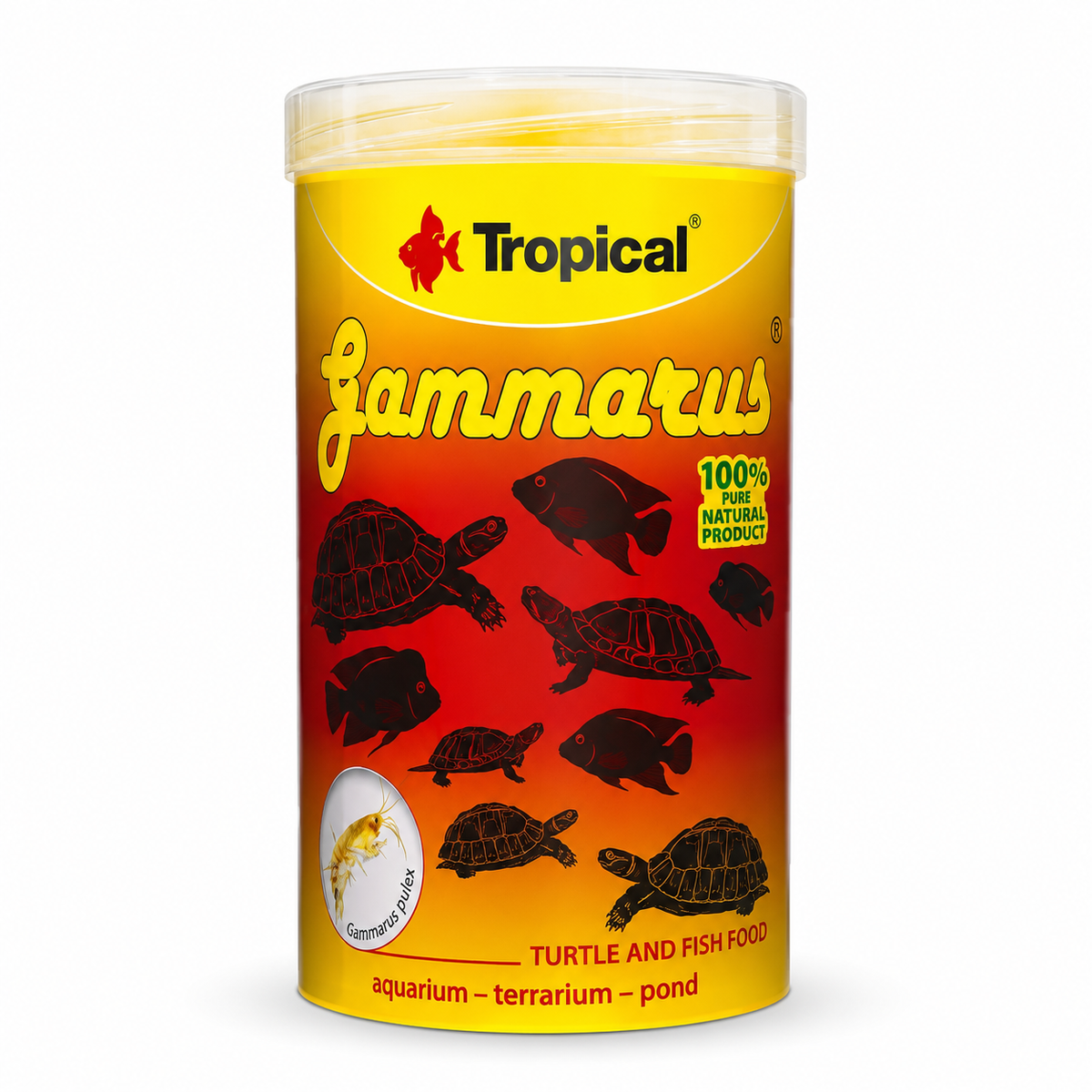 Tropical Gammarus Kaplumbağa Ve Balık İçin Tatlı Su Karidesi 100ml/12gr