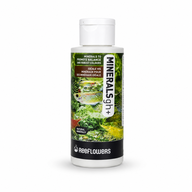 MİNERALS gH+ 50 ML