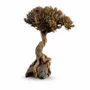 Akvaryum Bonsai Ağacı Dekoru 22-32 cm